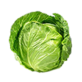 Green Cabbage